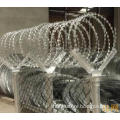 Prison Fence (Galvanized or PVC Coated)